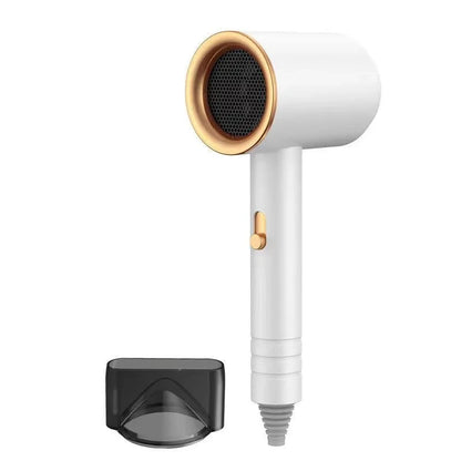 Secador de pelo Profesional con Protección Iónica
